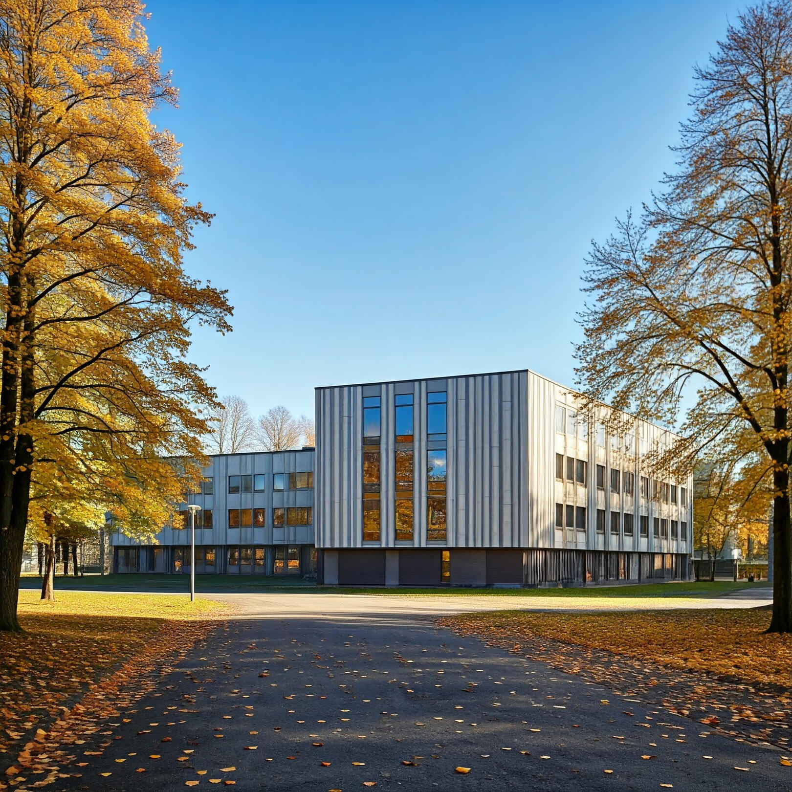 escola Estonia outono